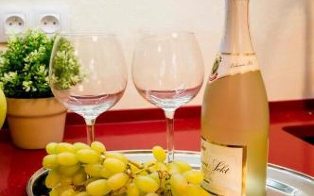 Apartment Za Poricskou branou