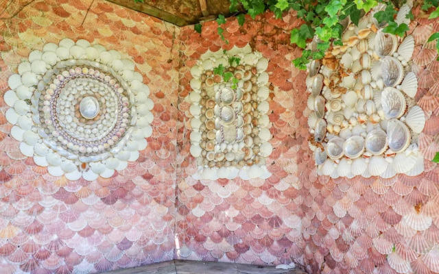 Seashells