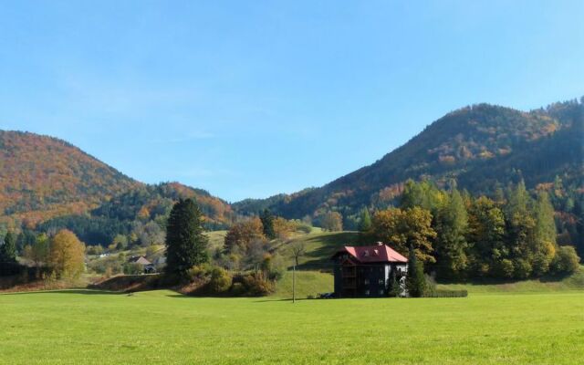Apartment Fuchsbau Grünau im Almtal