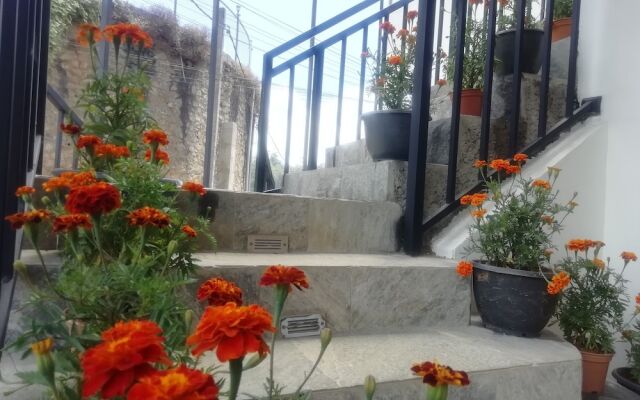 Tea Mount Forest Hotel