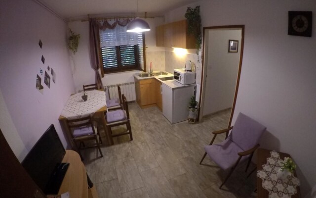 Antique Apartment With Balcony