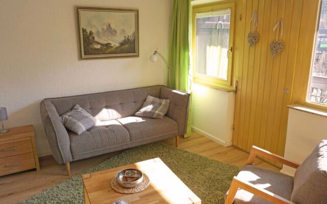 Birkenwald 25546
