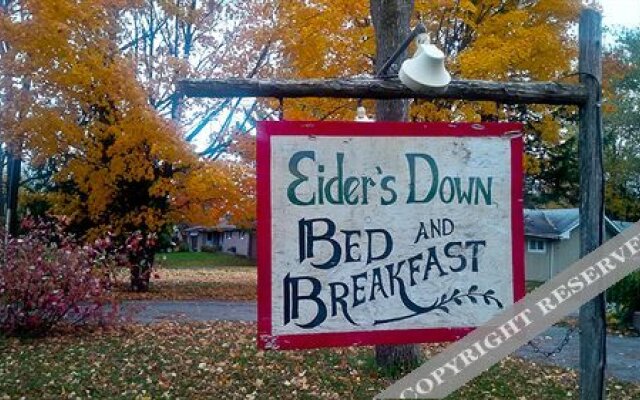 Eider'S Down Bed And Breakfast