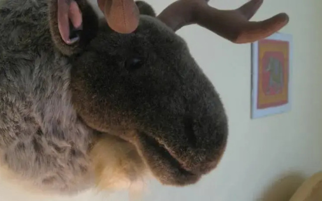 Your sunny, central and quiet home