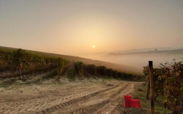 Vite diPinte 1 bilocale in langa