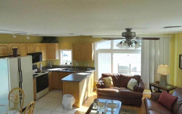 Dolphin Dance Both Units