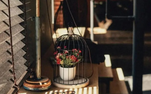 36 Phô Cô Hotel & Suites