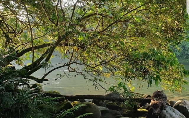 Kuyana Amazon Lodge