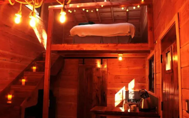 Cabanas Bosque Milenario