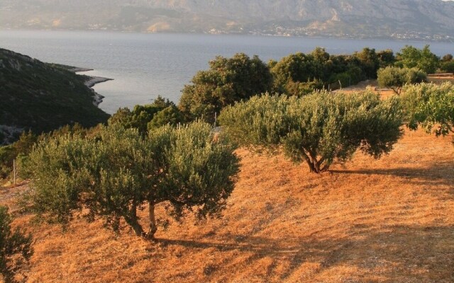 Eco Holiday House, Private Land of 11k sq. Meters!