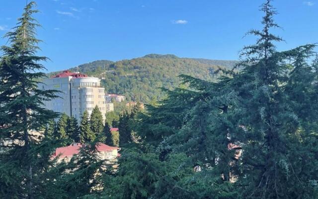 Апартаменты на Краснополянской