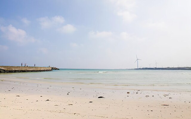 Jeju Vio House Pension