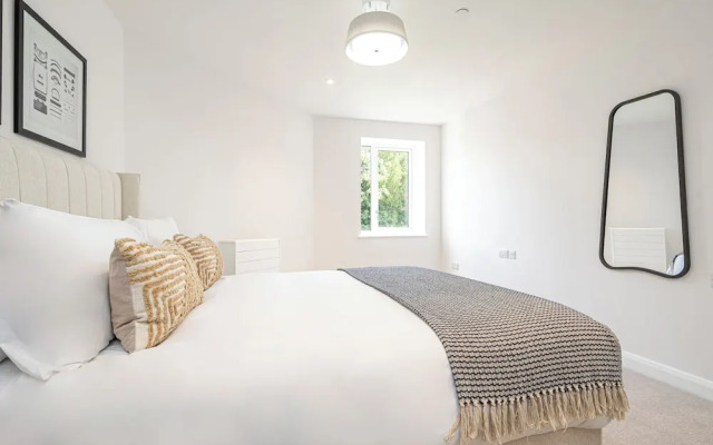 Velvet Morning Light For Guests Aged 65s