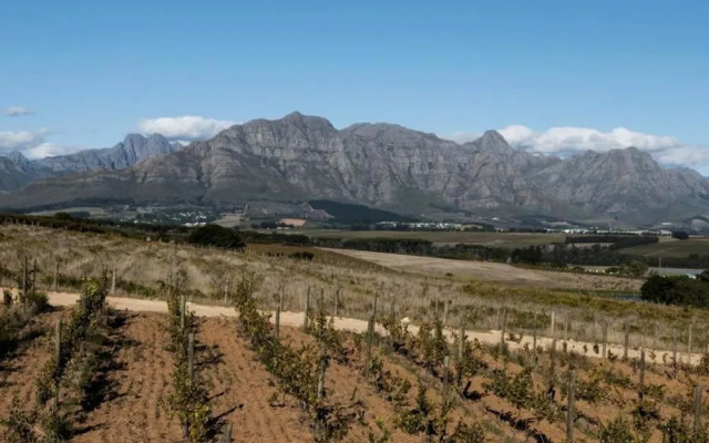 Gilga Wine Guest House