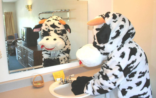 Town and Country Motel