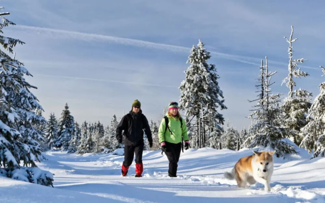 Mountain Apartment in Bad Kotzting