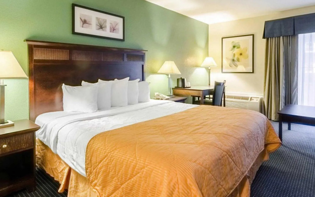 Rodeway Inn & Suites Williamsburg Central