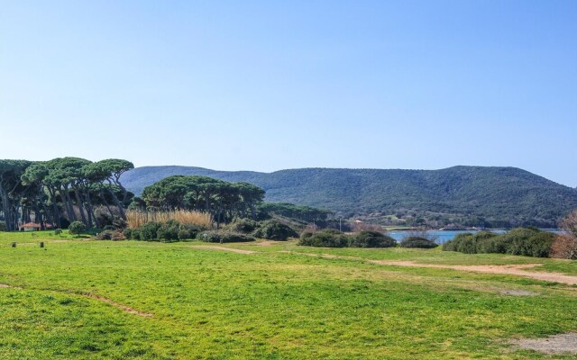 Nice Apartment in Suvereto With 2 Bedrooms and Wifi