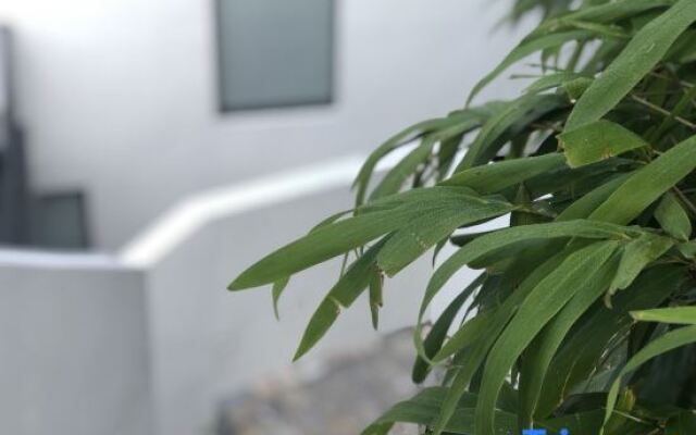 Ruoshanbei Homestay