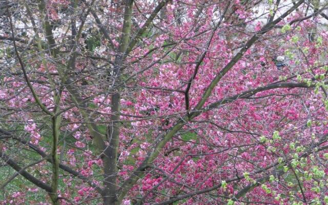 Maravillosa vivienda uso turistico con Parking VUT 921 AS