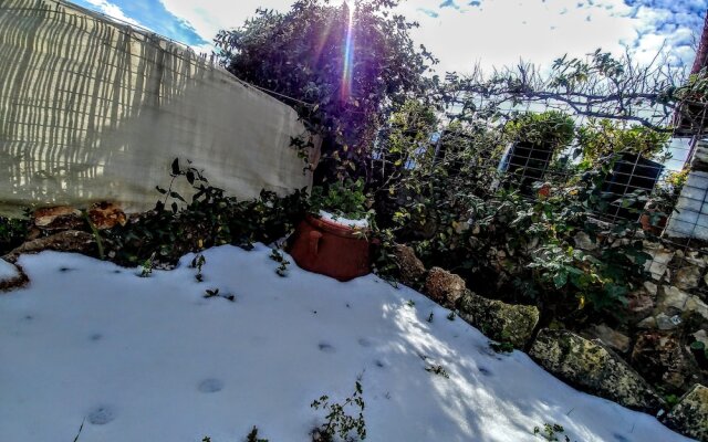 Thymes traditional house