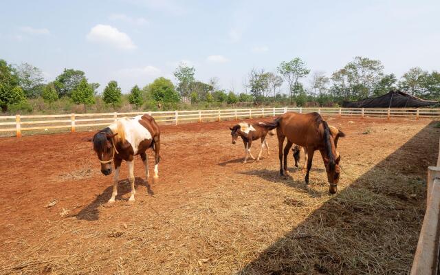The Stables Khao Yai