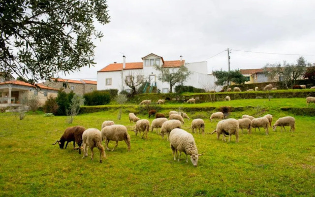 Rustic Terrace2 Bedrooms Farm House