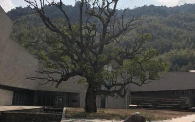 Sanqing Mountain Quanlin Farm Stay