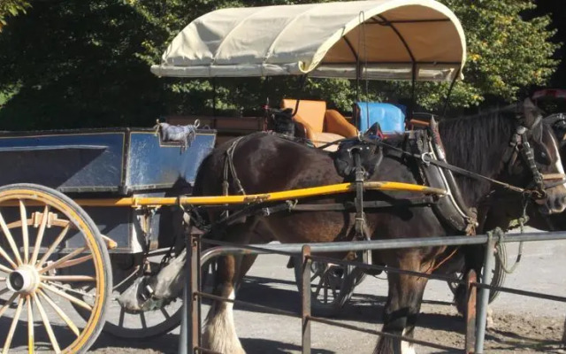 No 20 Killarney Holiday Village