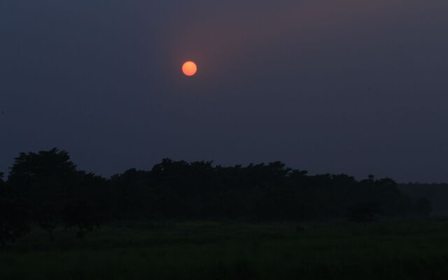 Chitwan Safari Camp & Lodge