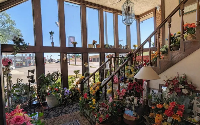 Edelweiss Inn And Suites