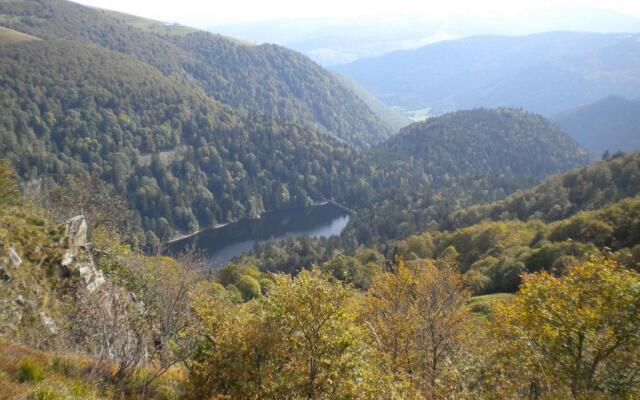 Chalet Plainfaing, 3 pièces, 4 personnes - FR-1-589-306