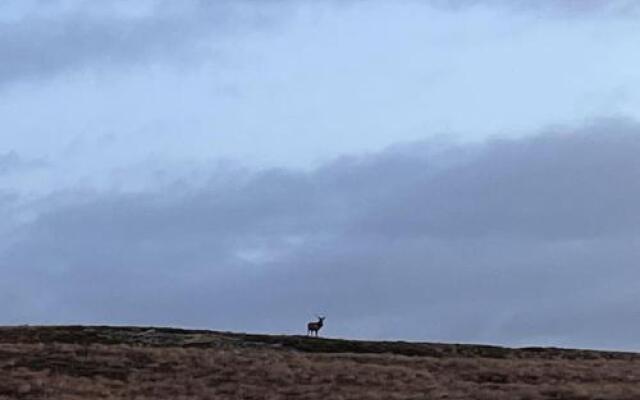 Stac Polly Cottage