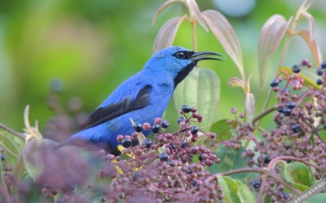 Yatama Ecolodge & Reserve