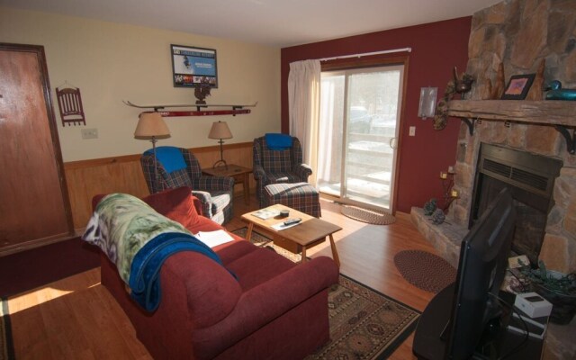 Slopeside Condo D102