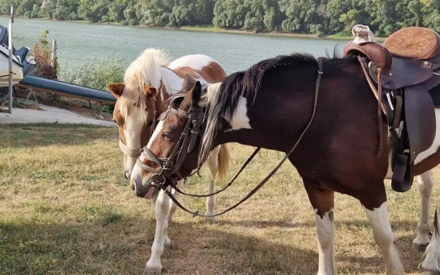 Pri Popa Guest House