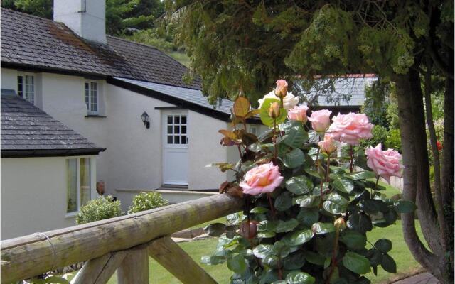 Frogwell