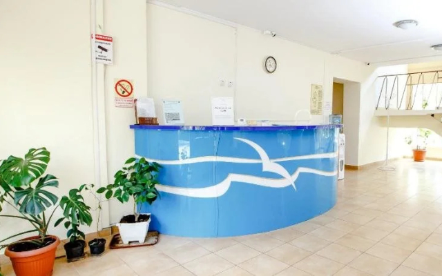 Чайка - фото 2