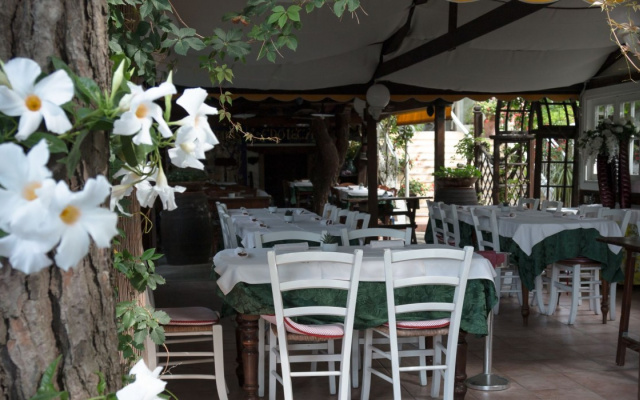 Hotel Vina del Mar Pineta