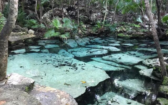 Brand new apartment, charming and family-friendly