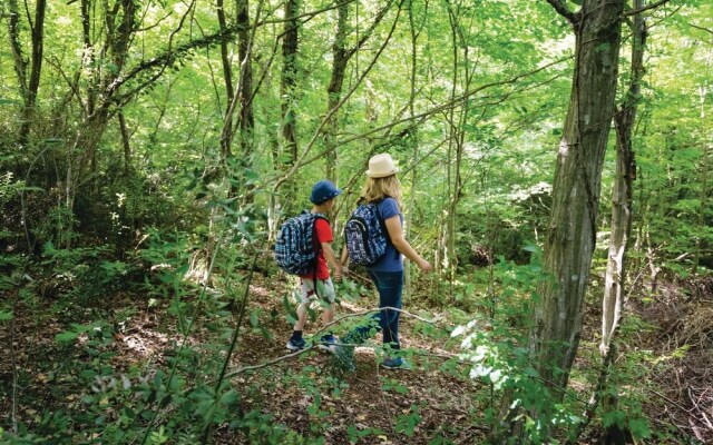 Amazing Home in Veprinac With Wifi and 2 Bedrooms