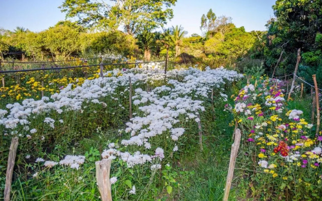 Hotel Chale Nosso Sitio Guaramiranga