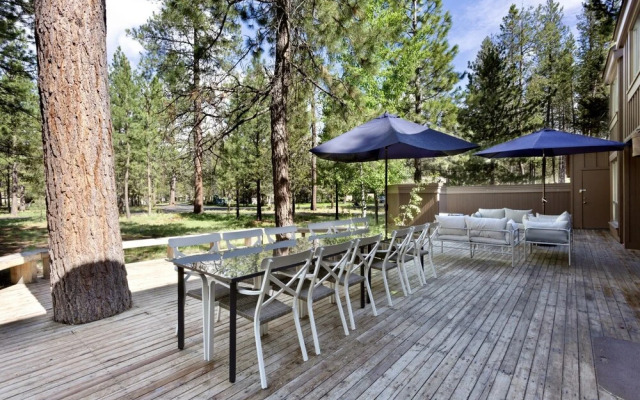 Salishan Lane - Skylight