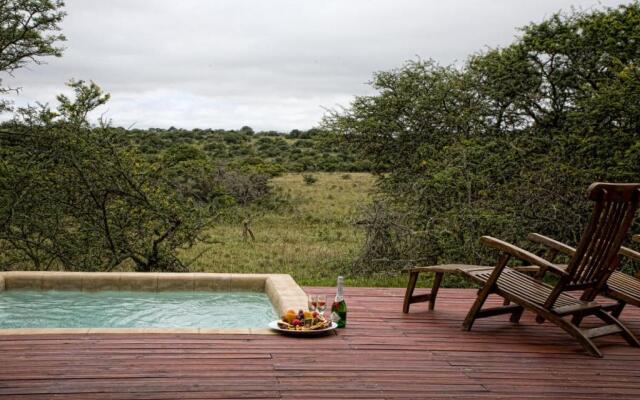 Bush Lodge – Amakhala Game Reserve