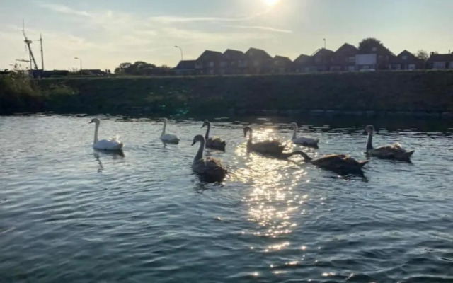 Villa Oesterdam 4 Persons