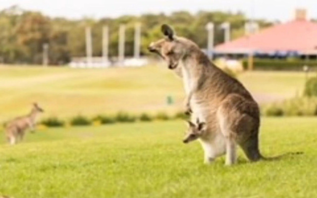 Villa 121 Horizons , 37 Horizons Drive