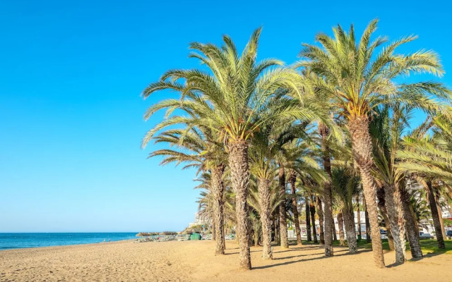 Cozy Center Studio Torremolinos