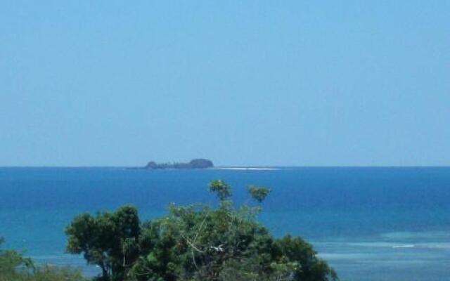 Les Dauphins De Nosy Be