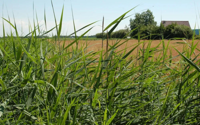 Roompot Kustpark Texel