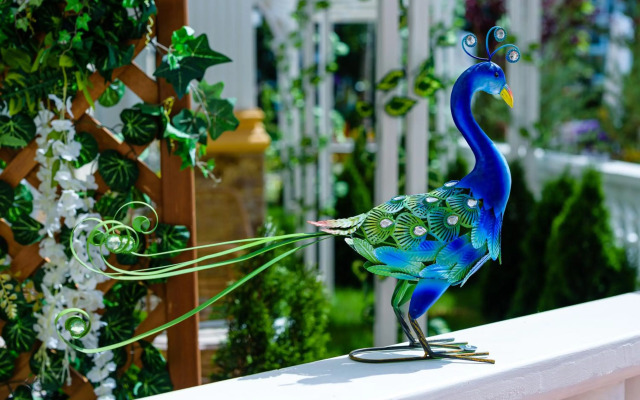 Sweet Homes 6 Apartments